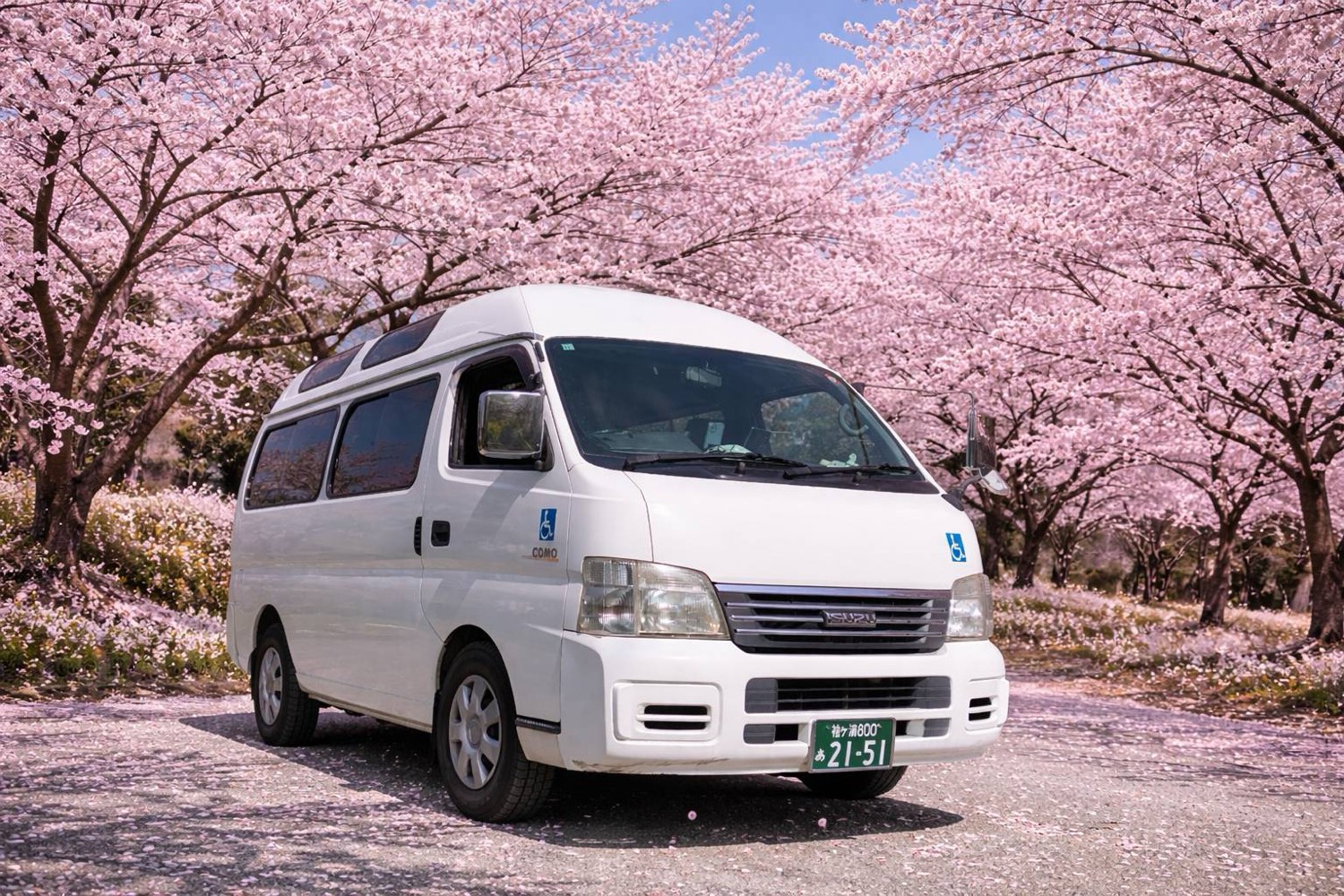 さくら介護タクシーのリフト付き福祉車両。桜並木に停車した白いハイルーフ車